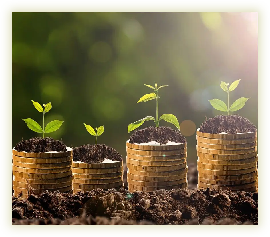 A group of coins with plants growing on them.